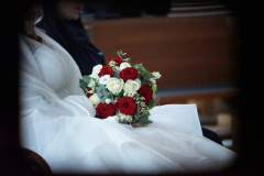 DSC00620